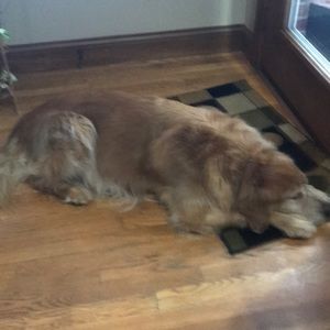 Meet your Posher, Kelly